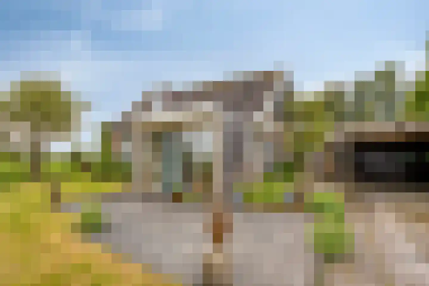 Miedwei 6 Lekkum thumbnail 10
