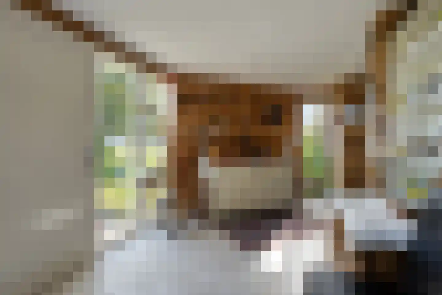 Miedwei 6 Lekkum thumbnail 15