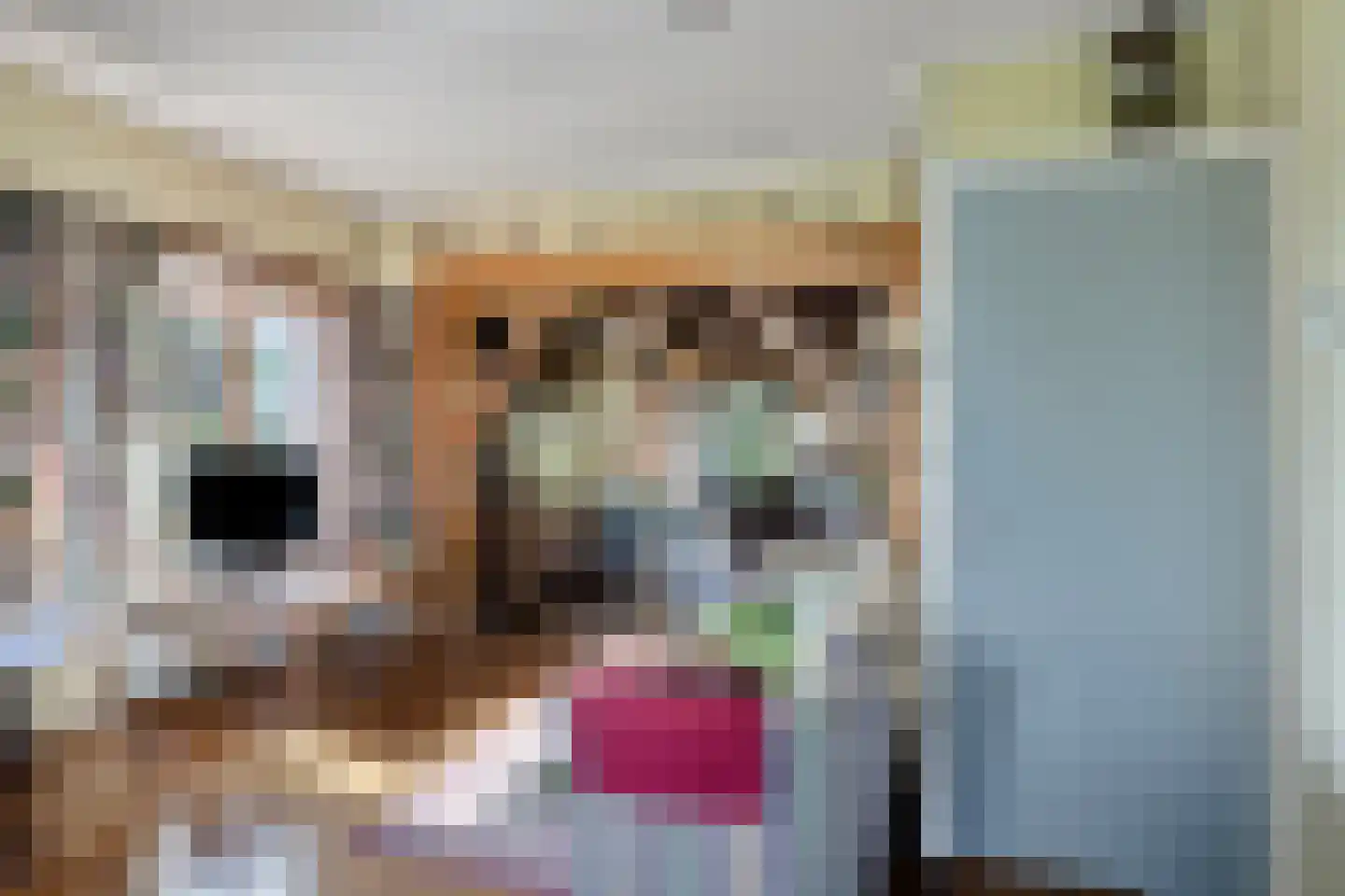 Miedwei 6 Lekkum thumbnail 17
