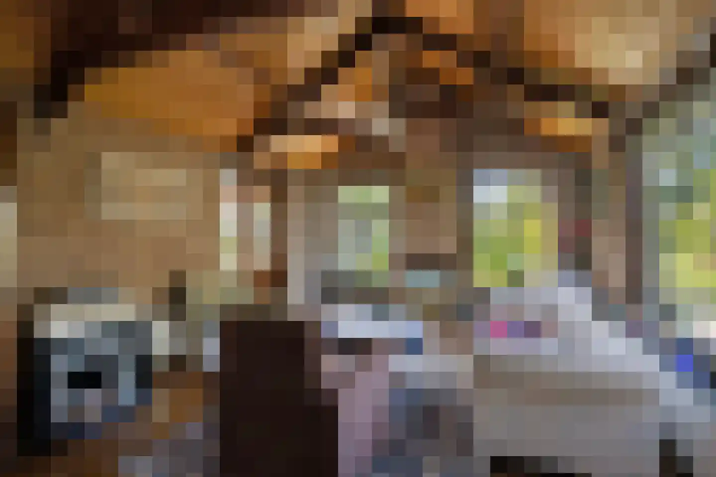 Miedwei 6 Lekkum thumbnail 18