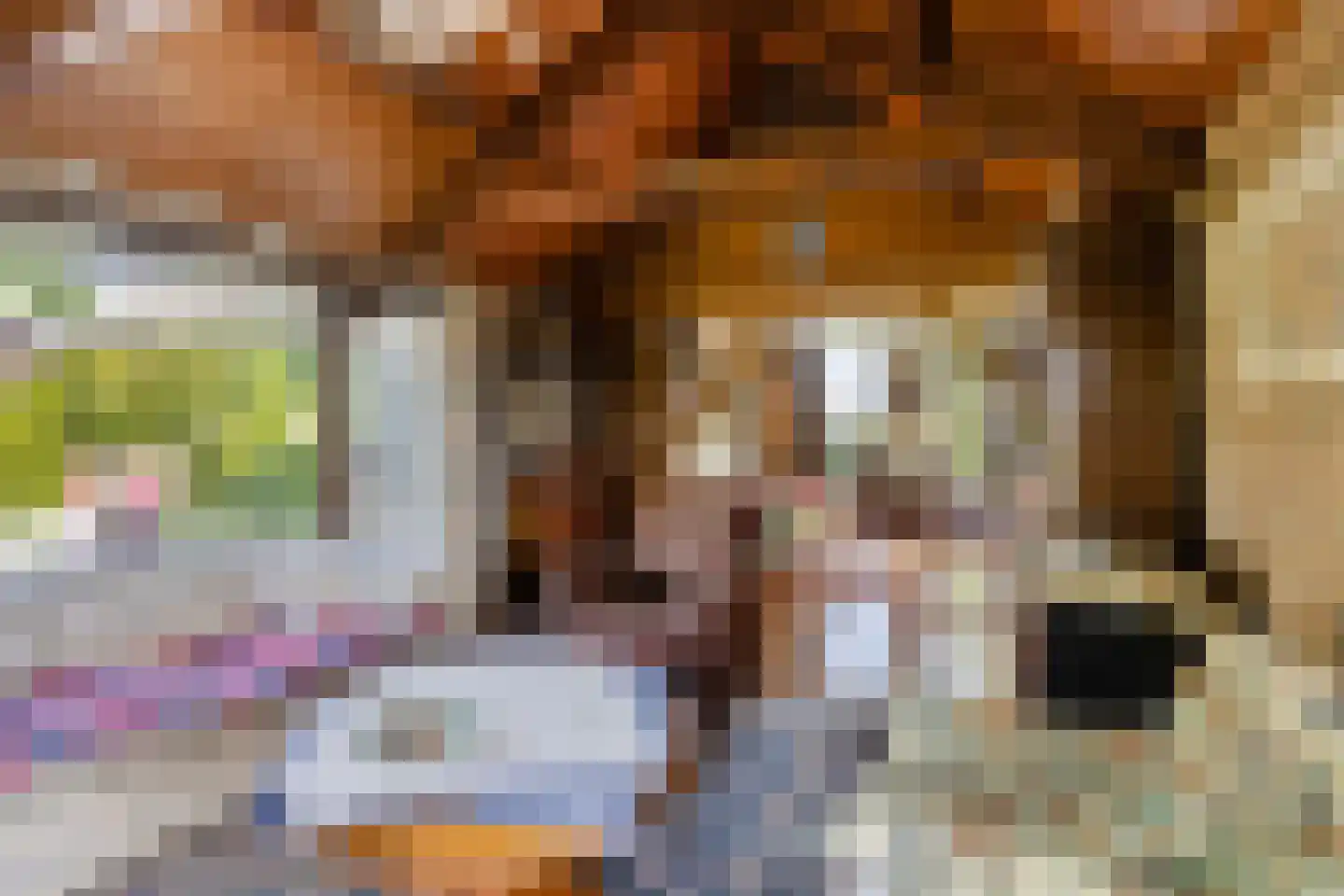 Miedwei 6 Lekkum thumbnail 21