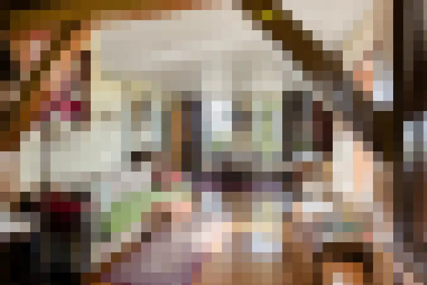 Miedwei 6 Lekkum thumbnail 23