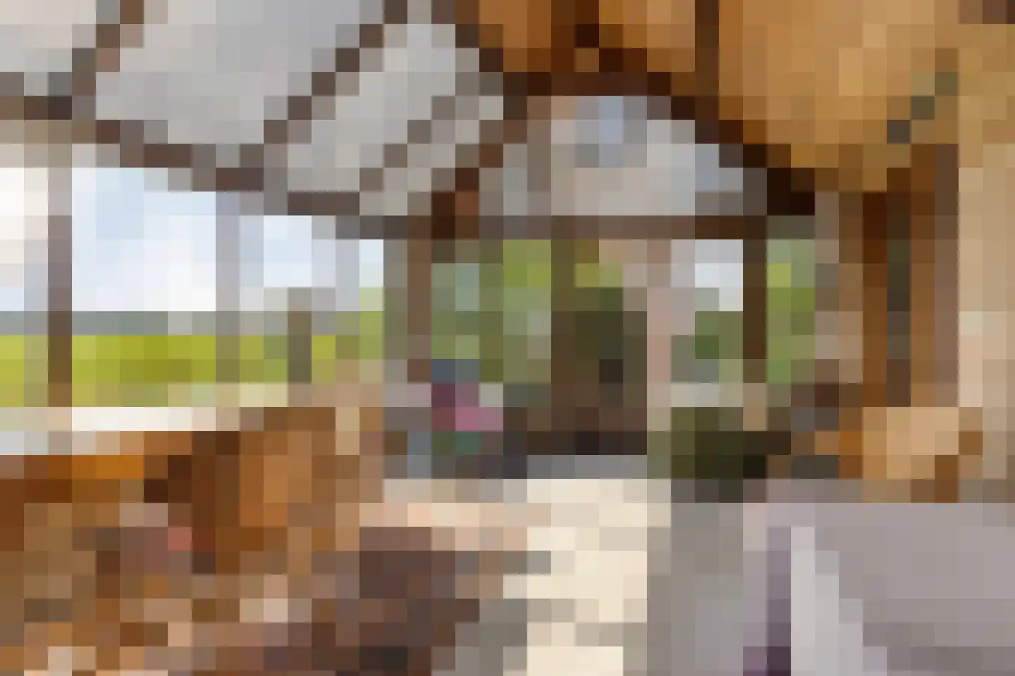 Miedwei 6 Lekkum thumbnail 29