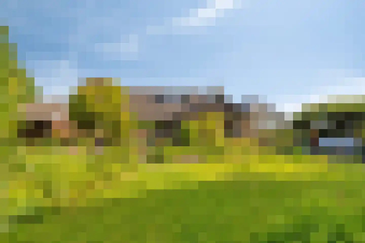 Miedwei 6 Lekkum thumbnail 37