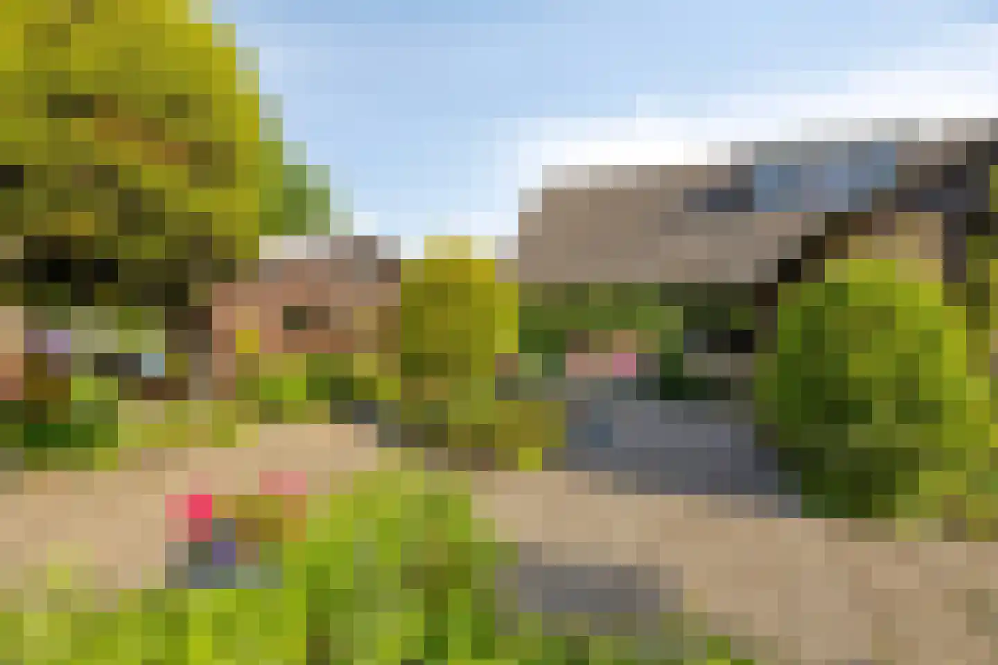 Miedwei 6 Lekkum thumbnail 38
