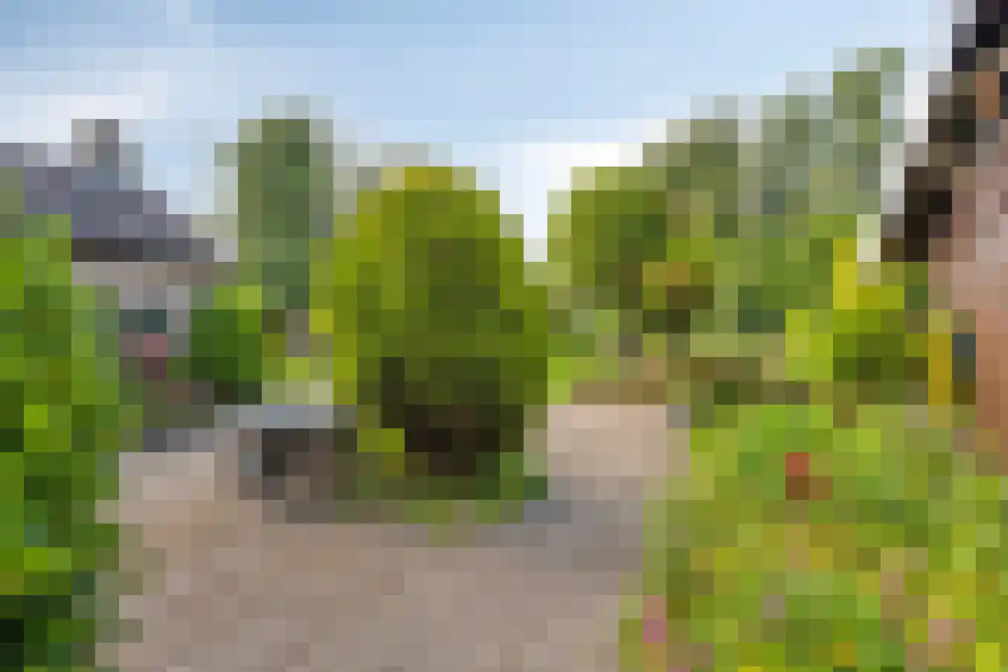 Miedwei 6 Lekkum thumbnail 39