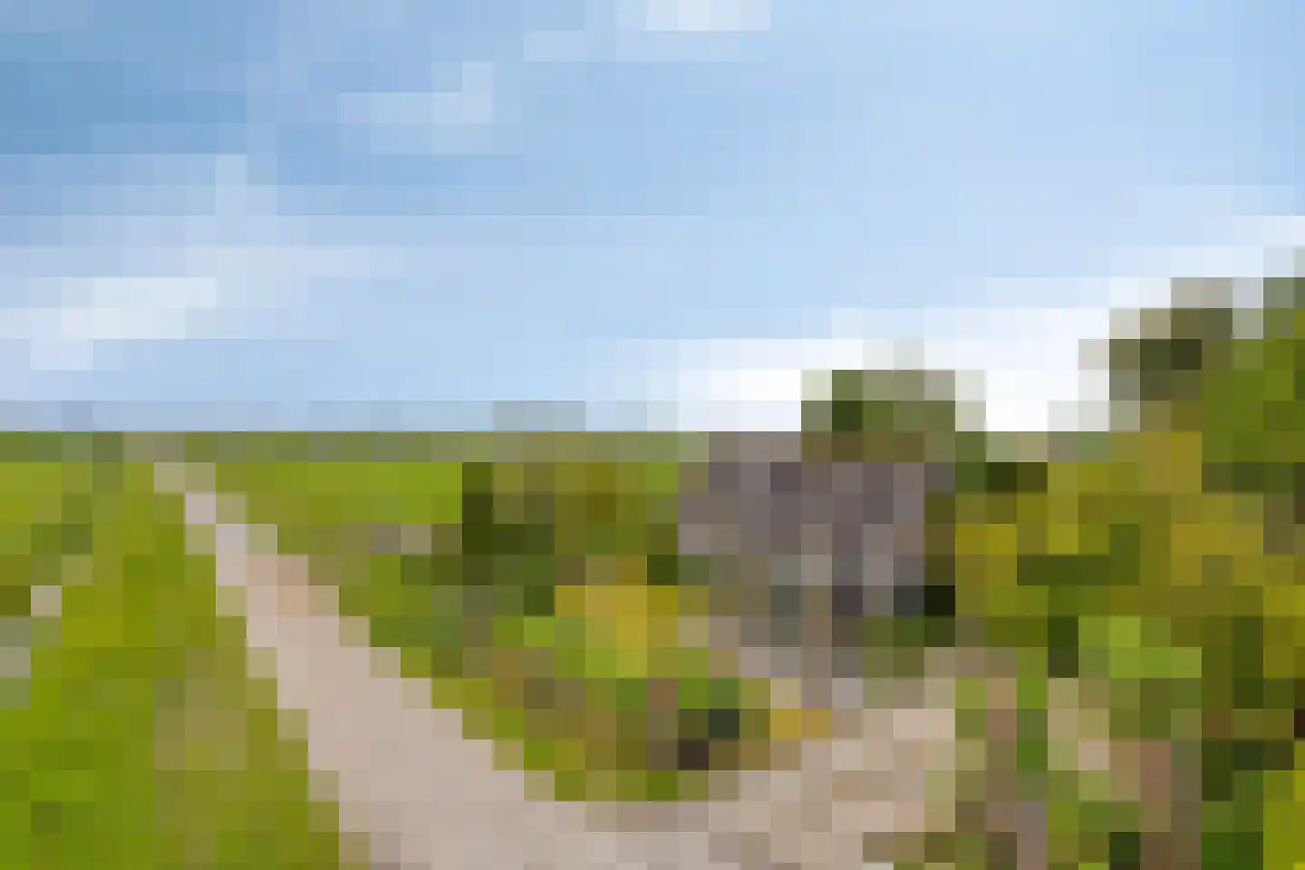 Miedwei 6 Lekkum thumbnail 4