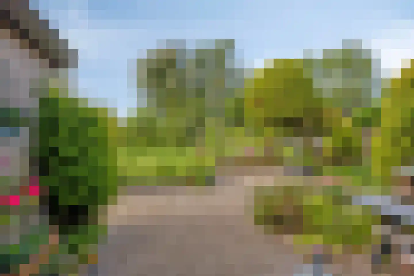 Miedwei 6 Lekkum thumbnail 40