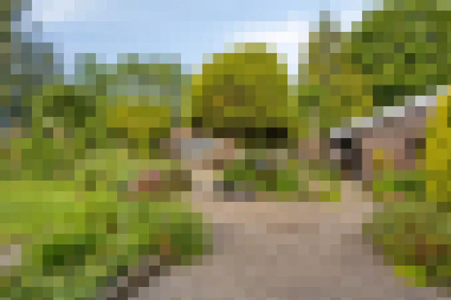 Miedwei 6 Lekkum thumbnail 41