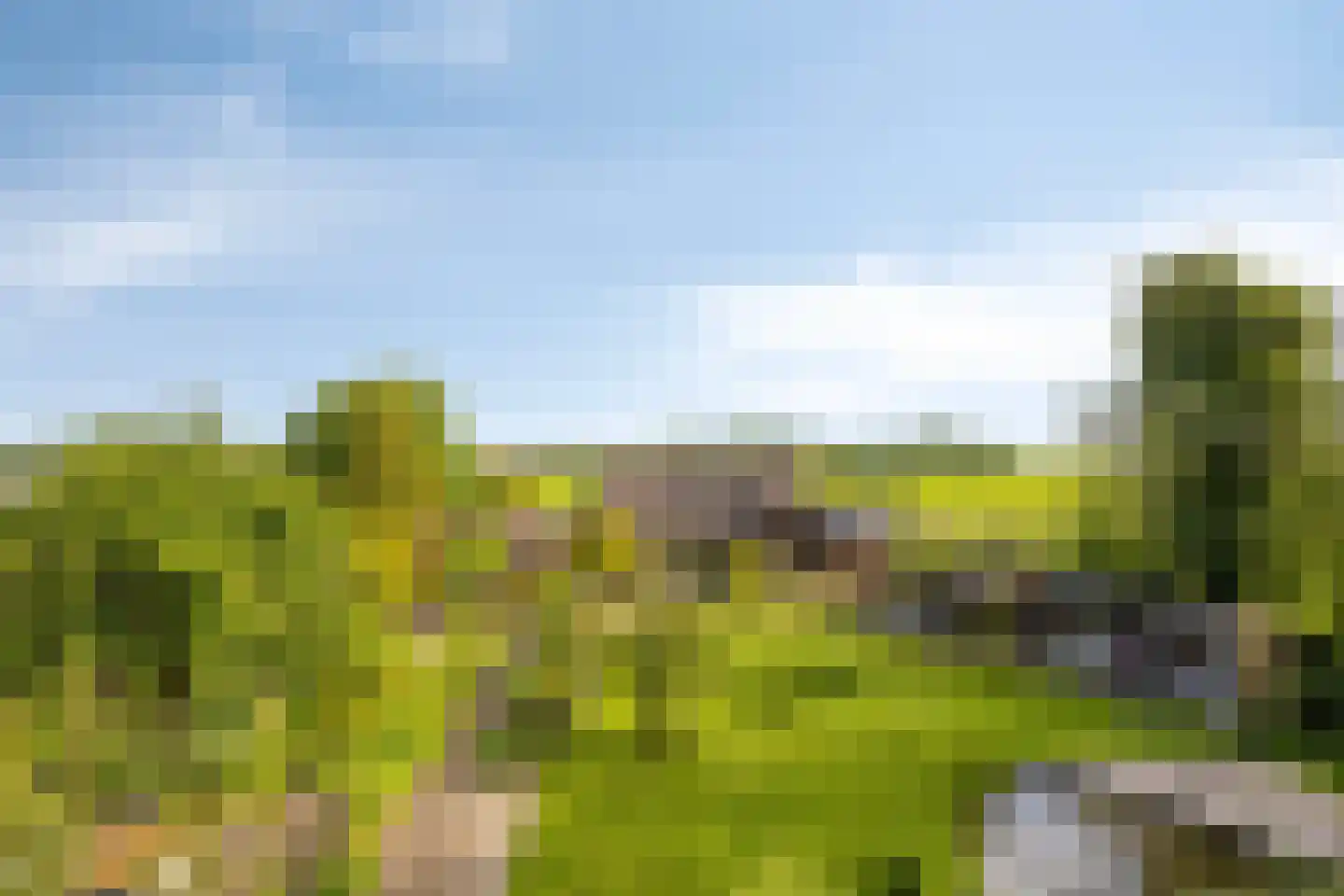 Miedwei 6 Lekkum thumbnail 5