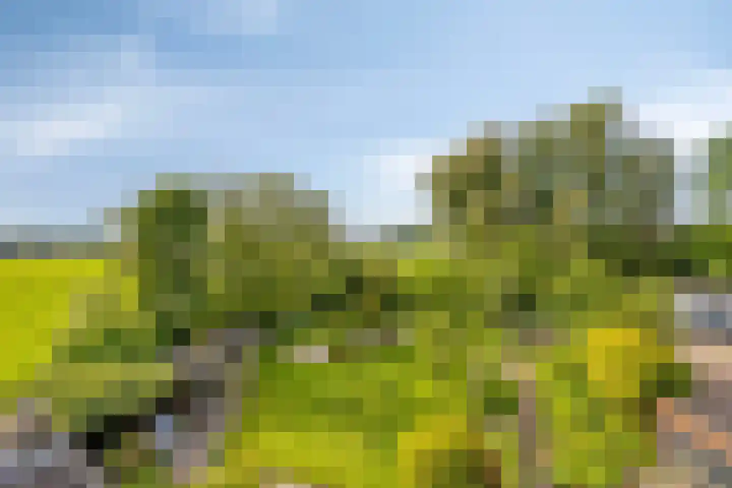 Miedwei 6 Lekkum thumbnail 51