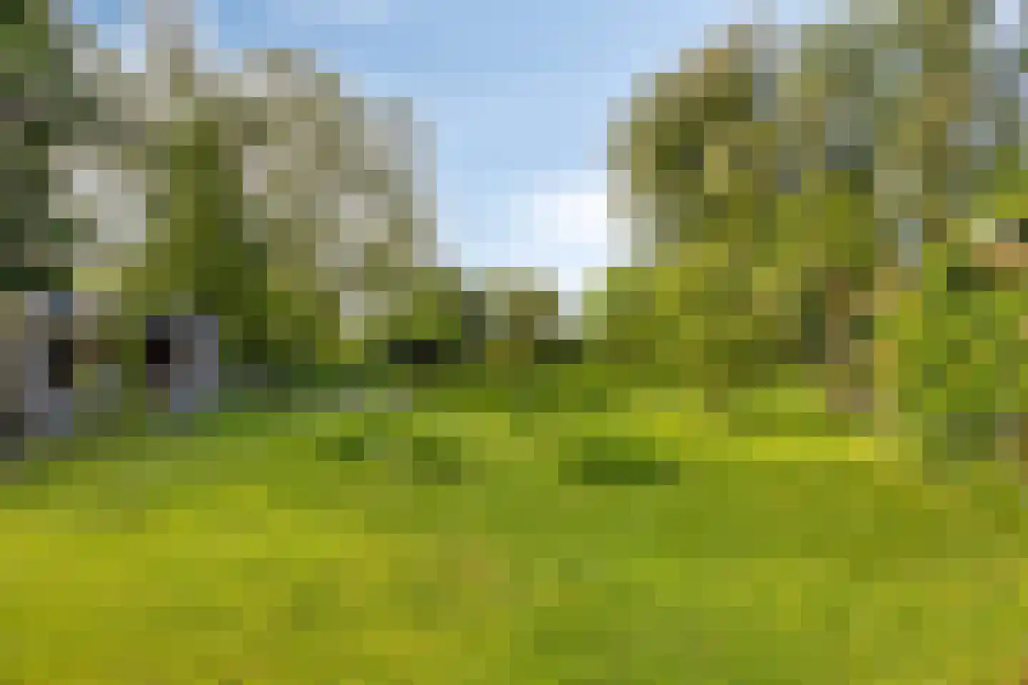 Miedwei 6 Lekkum thumbnail 53