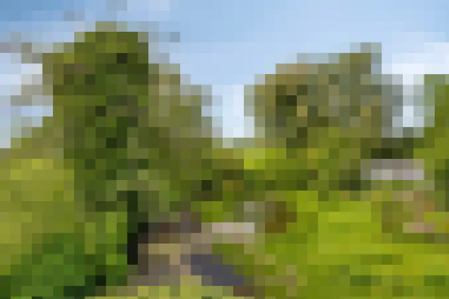 Miedwei 6 Lekkum thumbnail 54