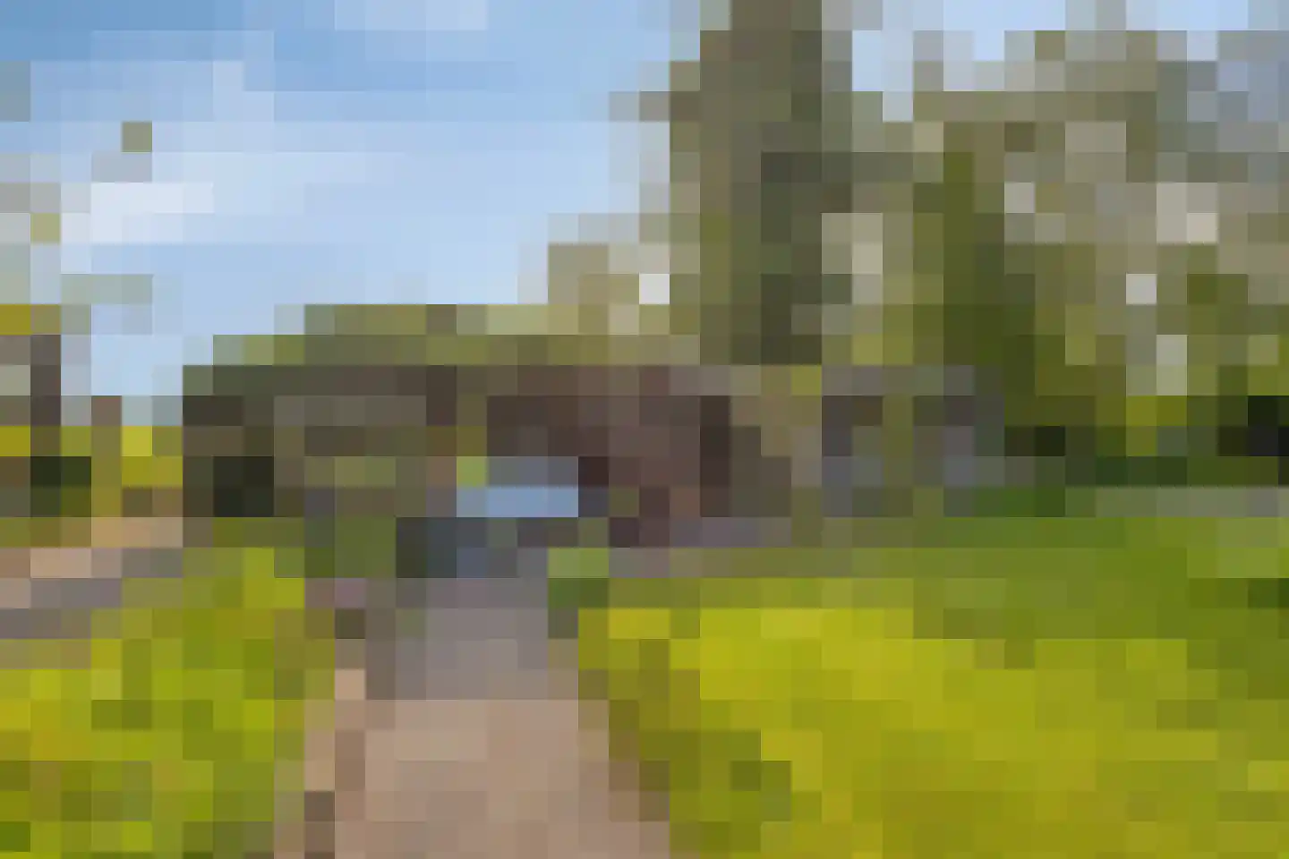 Miedwei 6 Lekkum thumbnail 55