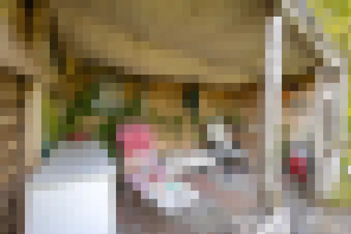 Miedwei 6 Lekkum thumbnail 58