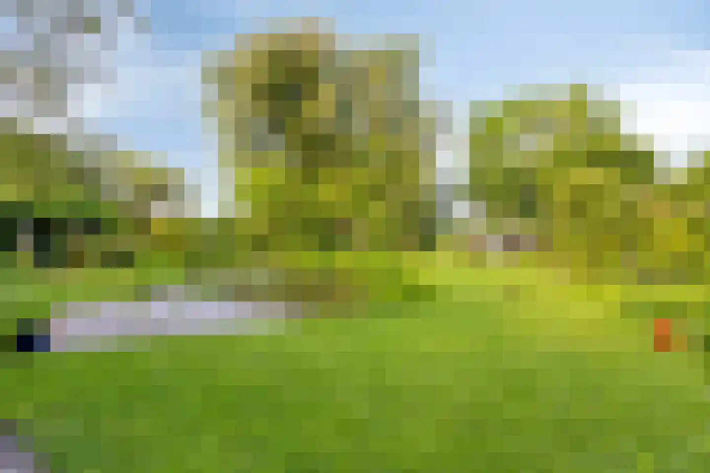 Miedwei 6 Lekkum thumbnail 59