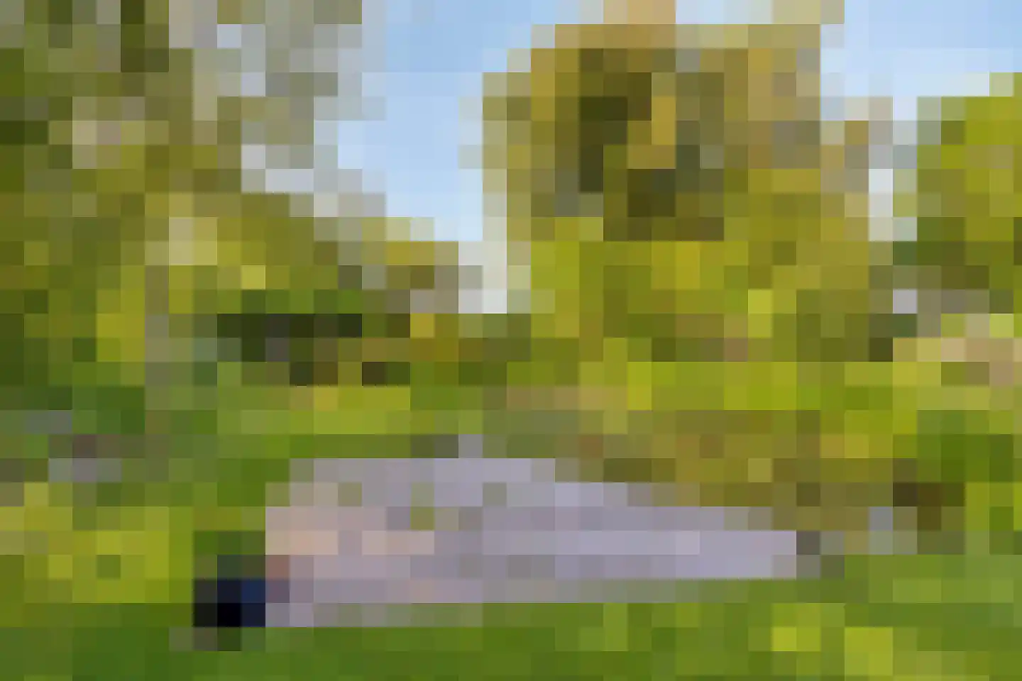 Miedwei 6 Lekkum thumbnail 60