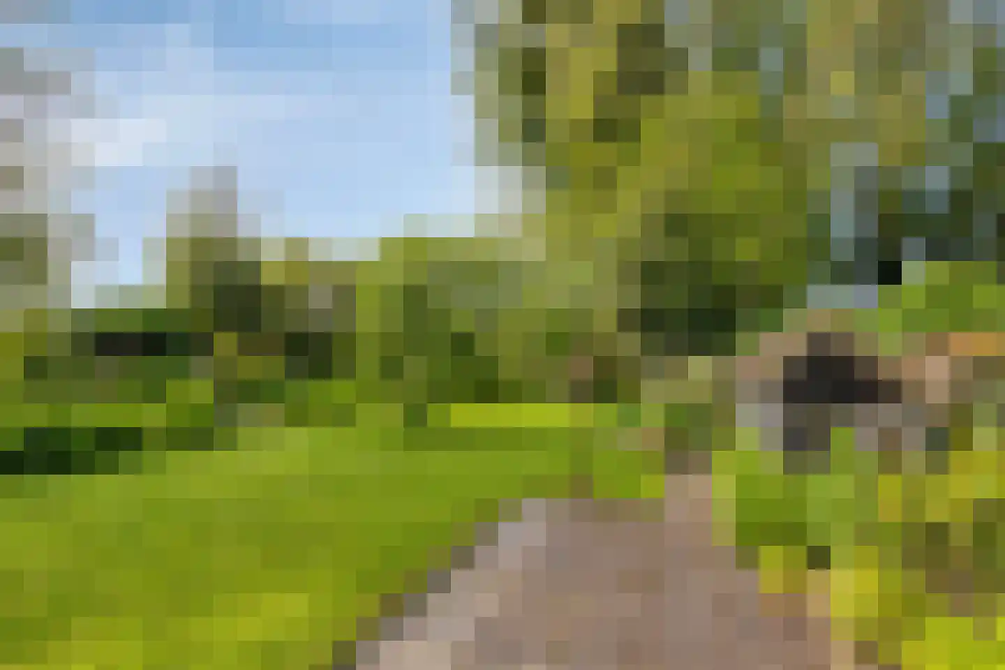 Miedwei 6 Lekkum thumbnail 61