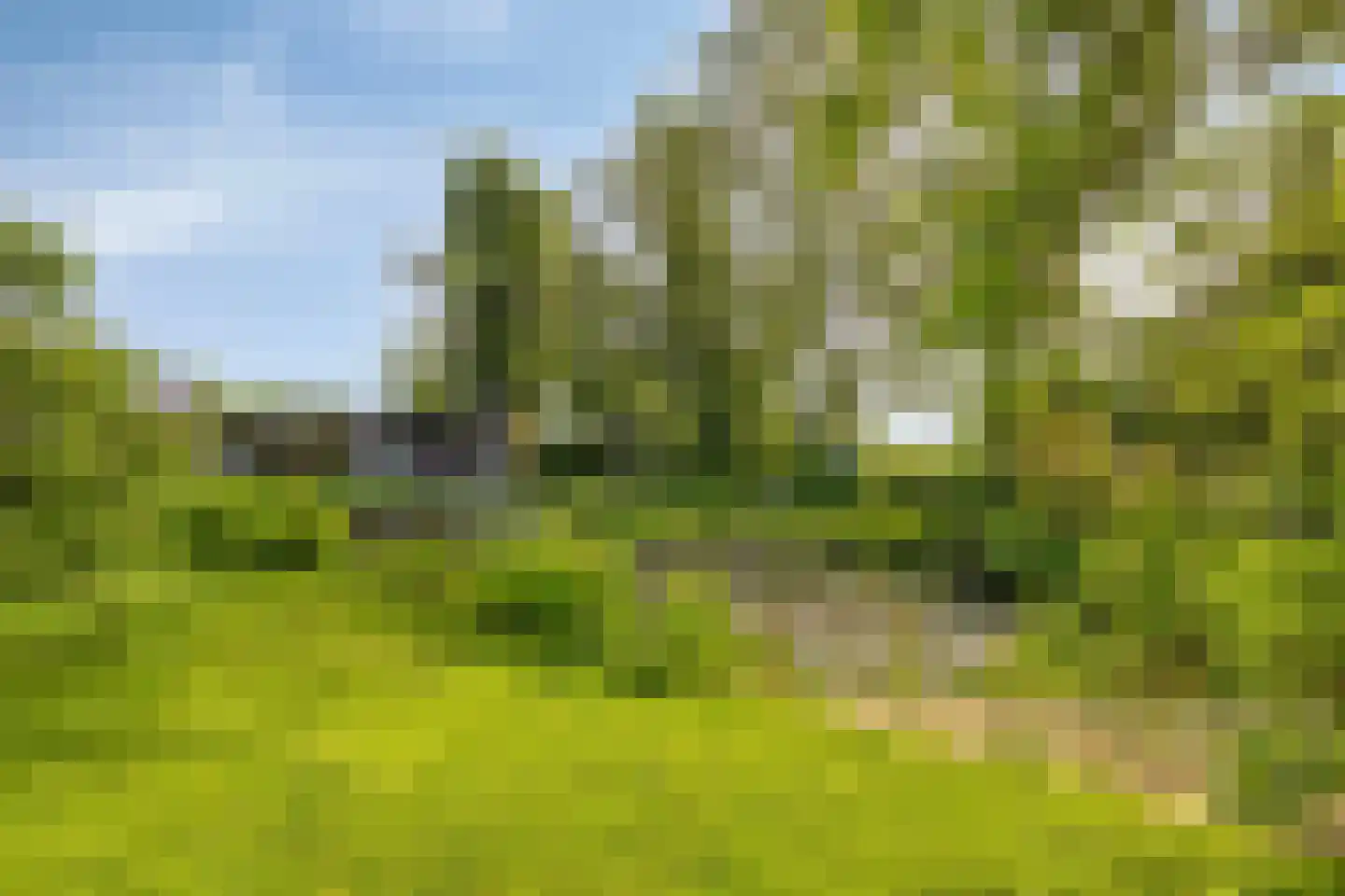 Miedwei 6 Lekkum thumbnail 62