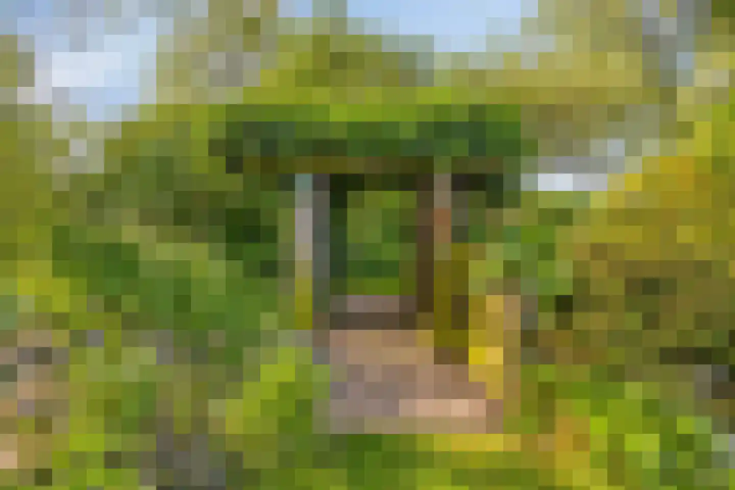 Miedwei 6 Lekkum thumbnail 63