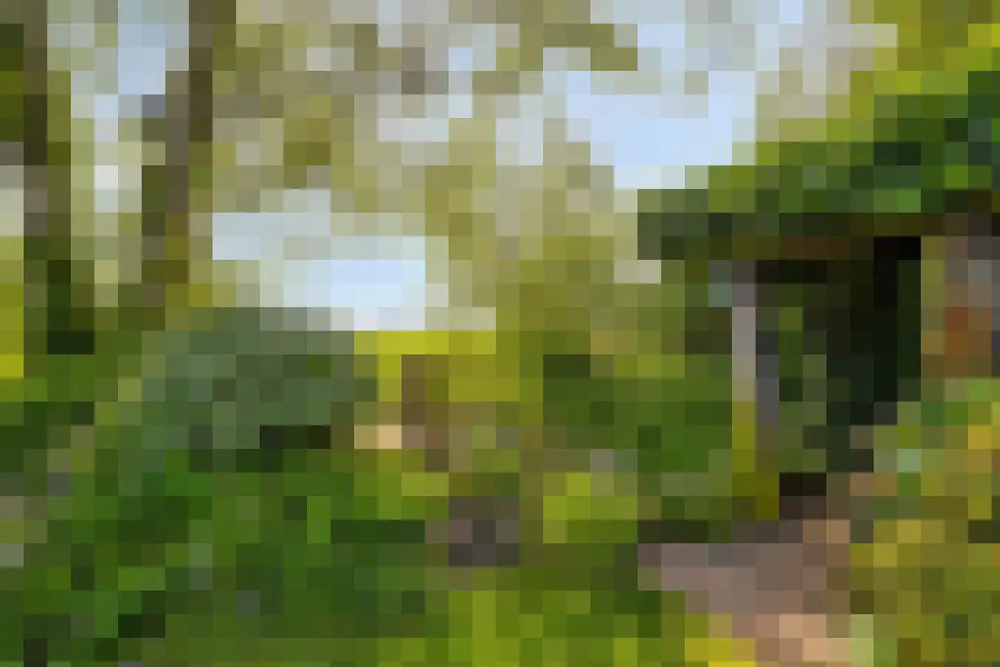 Miedwei 6 Lekkum thumbnail 64