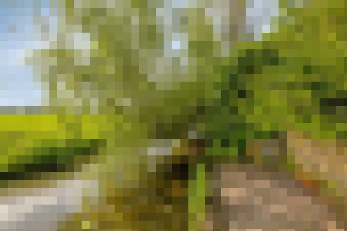 Miedwei 6 Lekkum thumbnail 65