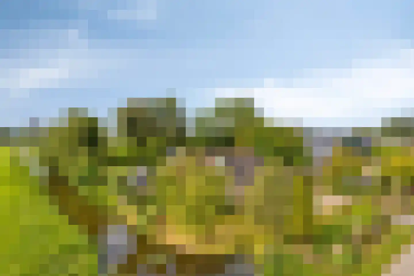 Miedwei 6 Lekkum thumbnail 7
