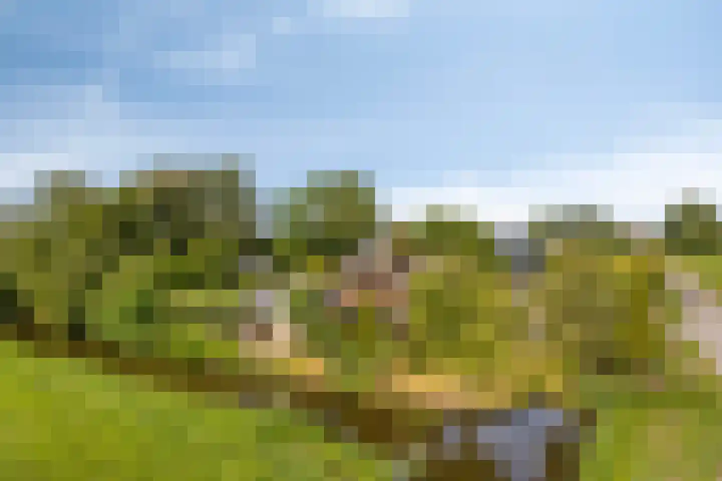 Miedwei 6 Lekkum thumbnail 8