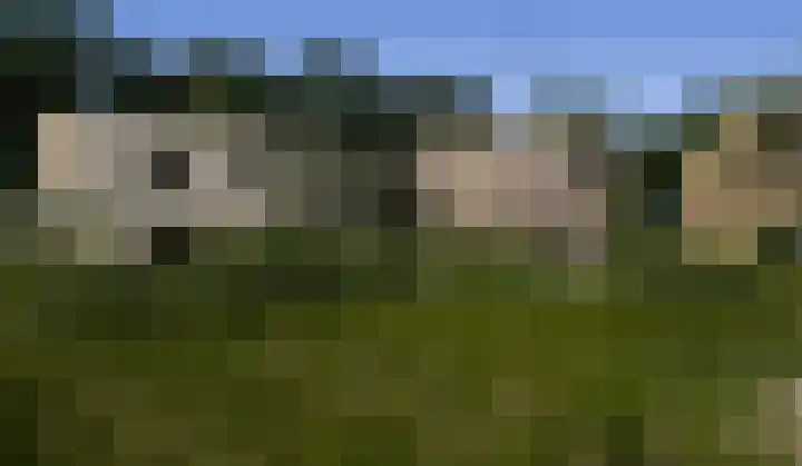 Mieke Aartsmalaan 16 Soesterberg thumbnail 4