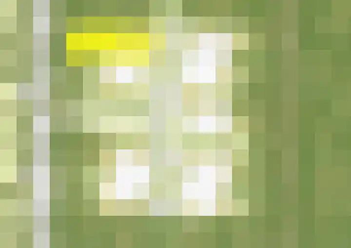 Mieke Aartsmalaan 16 Soesterberg thumbnail 7