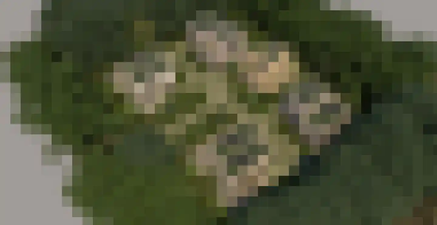 Mieke Aartsmalaan 18 Soesterberg thumbnail 6