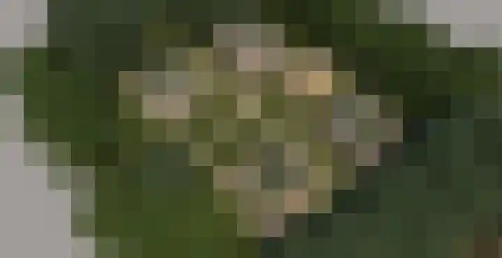 Mieke Aartsmalaan 24 Soesterberg thumbnail 6