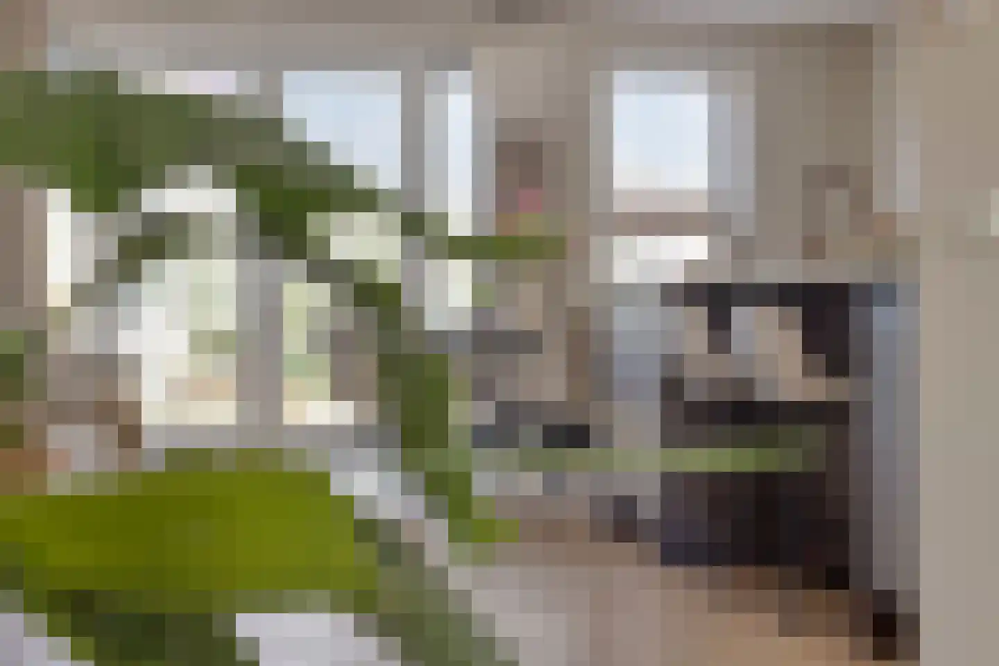 Mieke Smithage 4 Emmeloord thumbnail 15