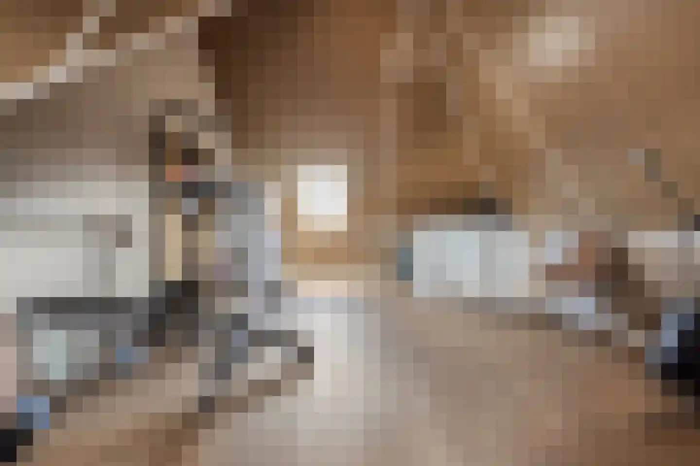 Mieke Smithage 4 Emmeloord thumbnail 31