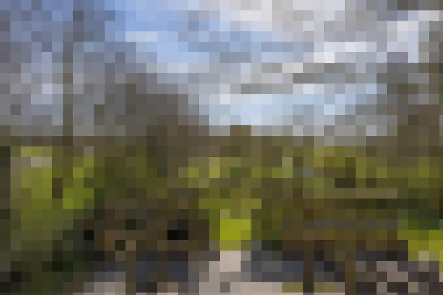 Mieldijk 1 Barsingerhorn thumbnail 18