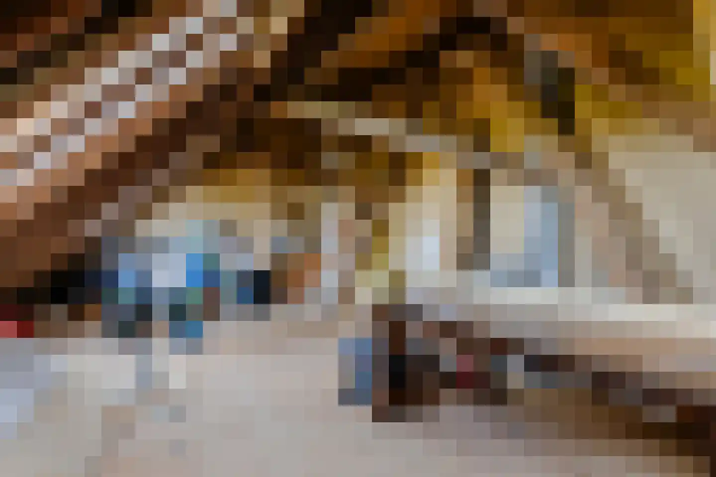 Mieldijk 1 Barsingerhorn thumbnail 25