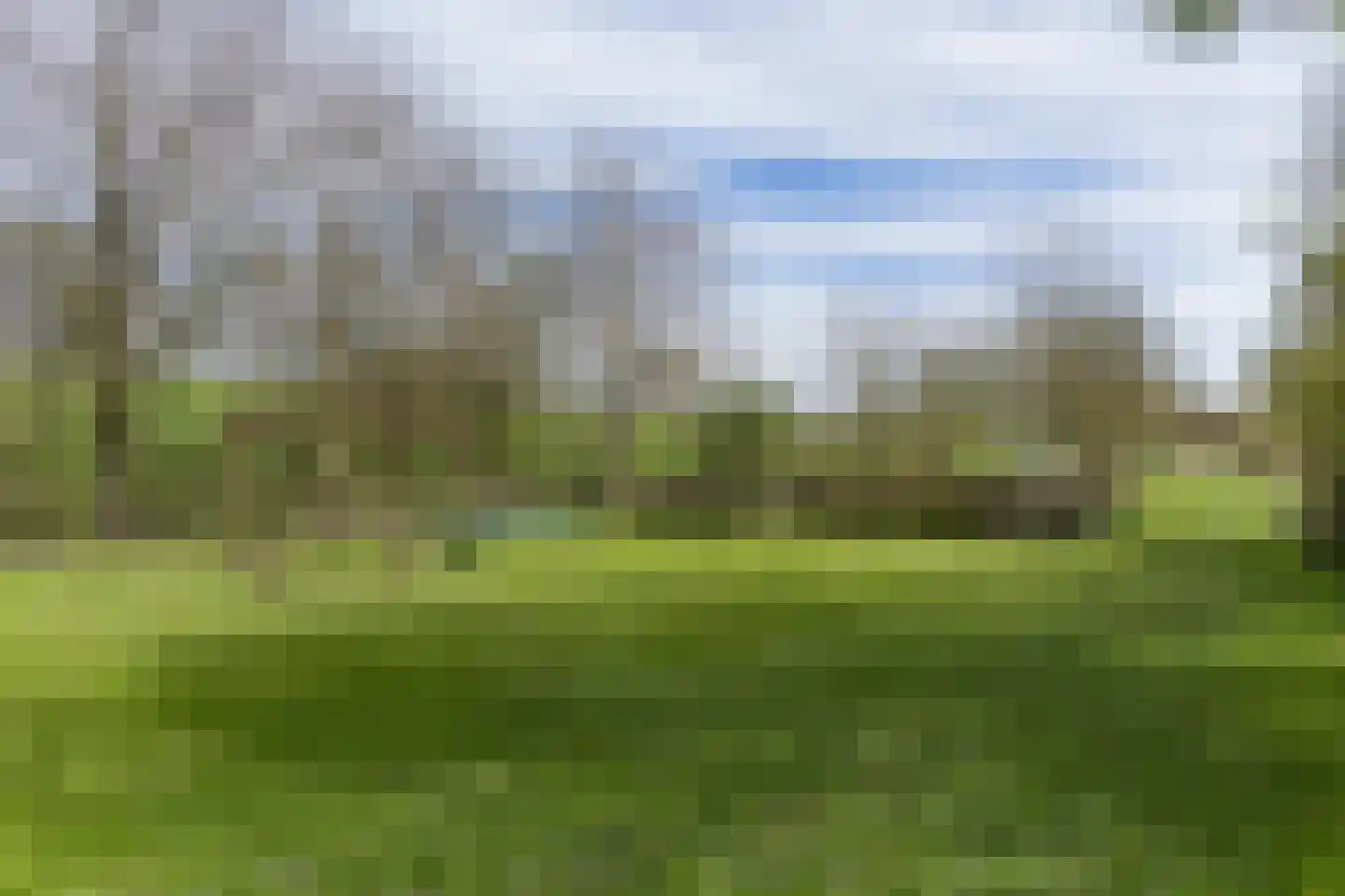 Mieldijk 1 Barsingerhorn thumbnail 33