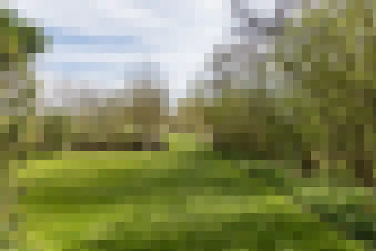 Mieldijk 1 Barsingerhorn thumbnail 34