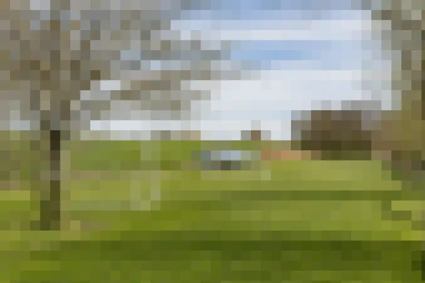 Mieldijk 1 Barsingerhorn thumbnail 35