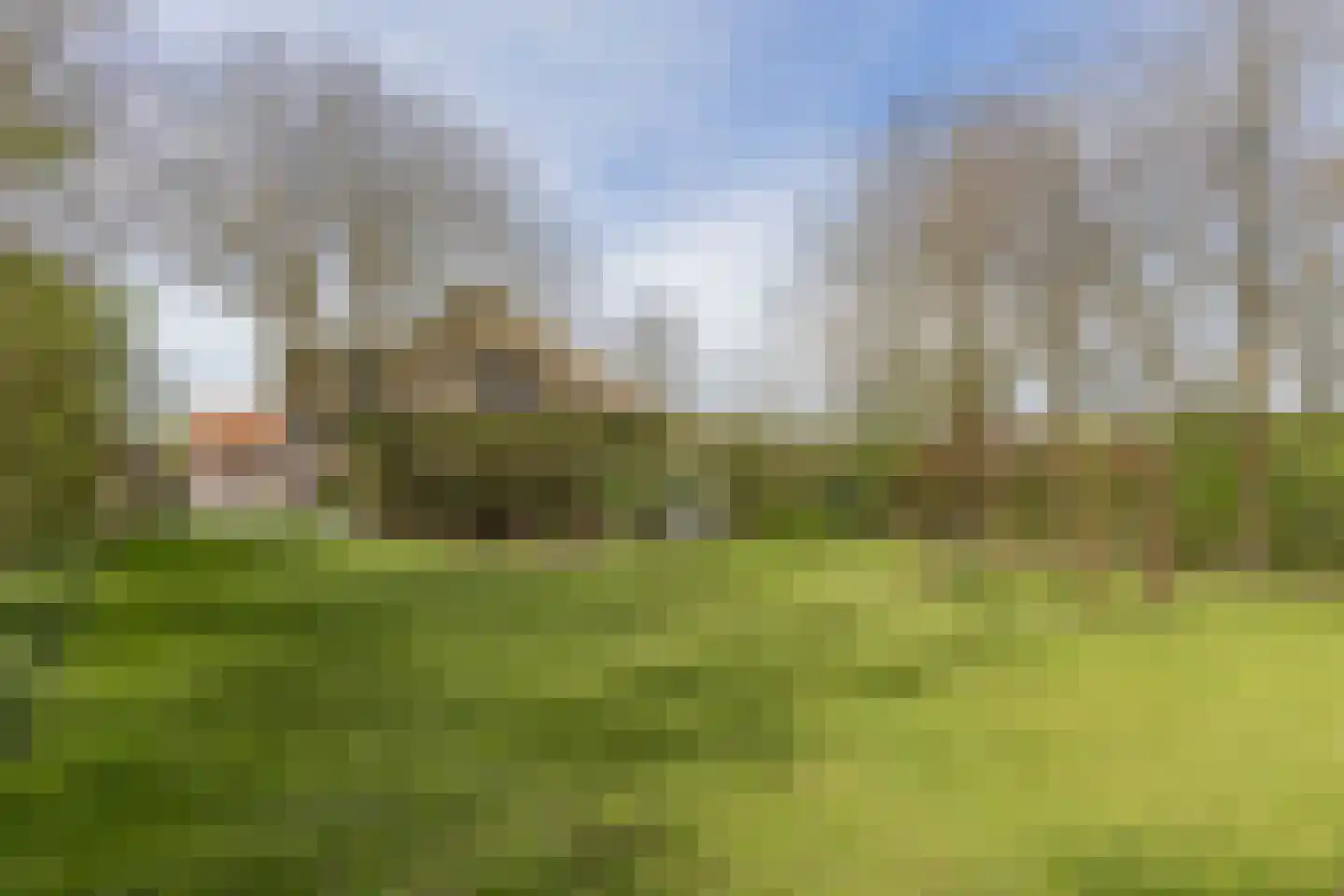 Mieldijk 1 Barsingerhorn thumbnail 36