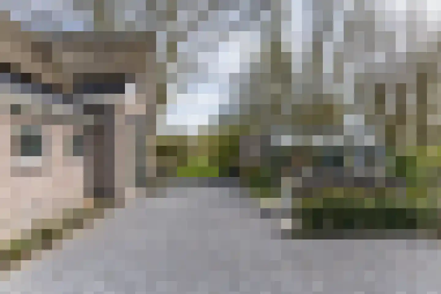 Mieldijk 1 Barsingerhorn thumbnail 38
