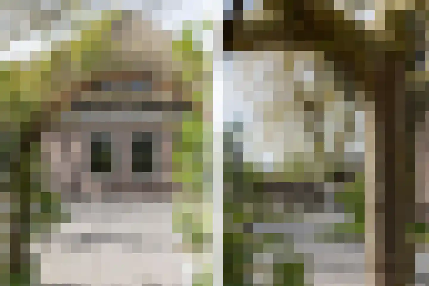 Mieldijk 1 Barsingerhorn thumbnail 39