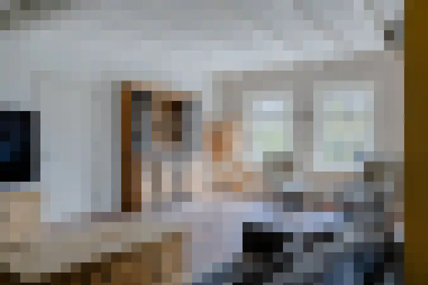 Mieldijk 1 Barsingerhorn thumbnail 4