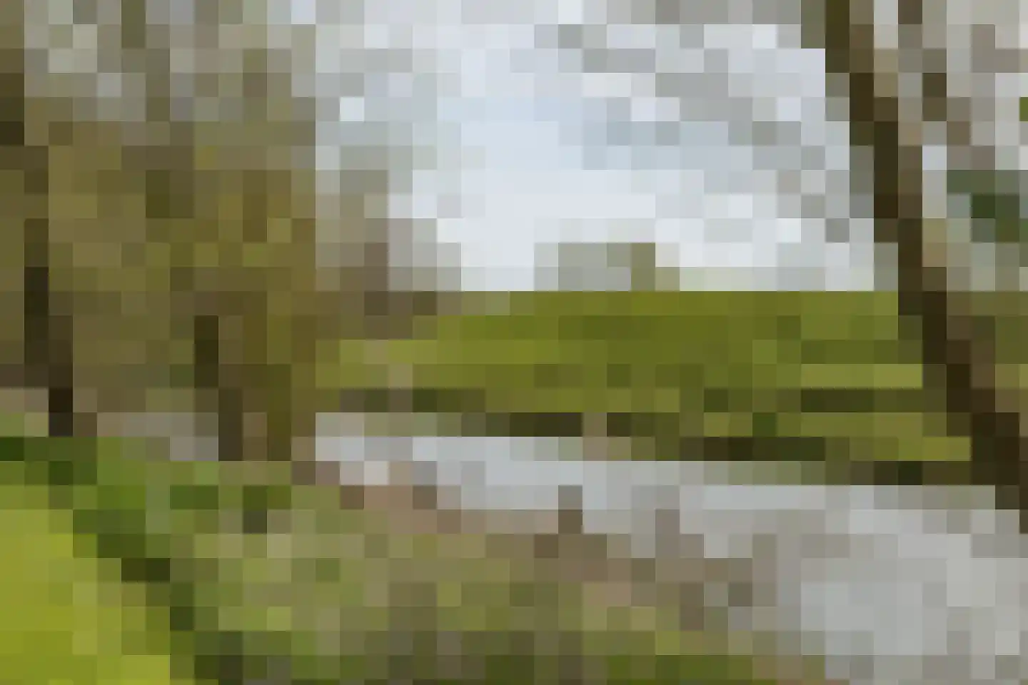 Mieldijk 1 Barsingerhorn thumbnail 41