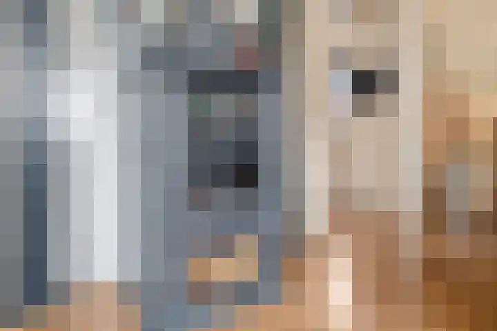 Mielweg 13 Lunteren thumbnail 11
