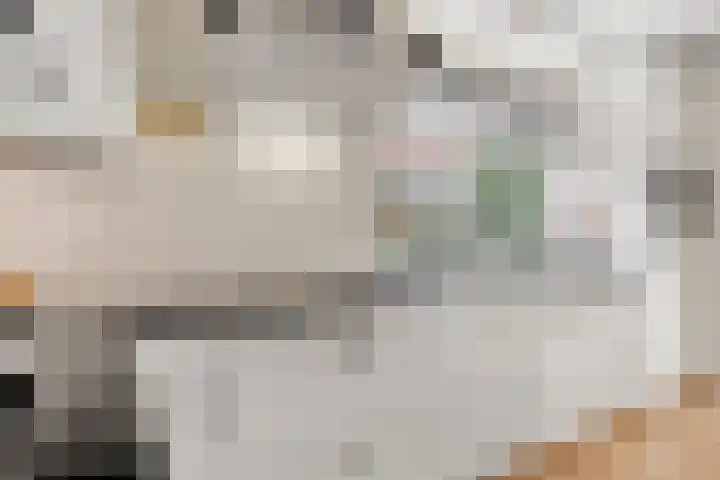 Mielweg 13 Lunteren thumbnail 13