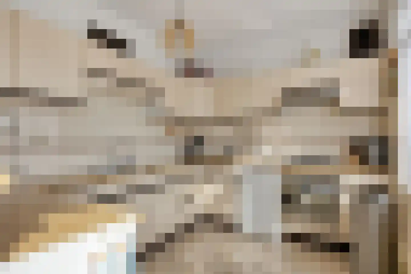 Mielweg 32 Lunteren thumbnail 11