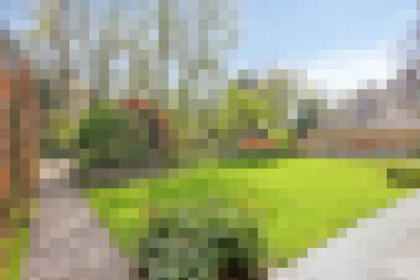 Mielweg 46 Lunteren thumbnail 52
