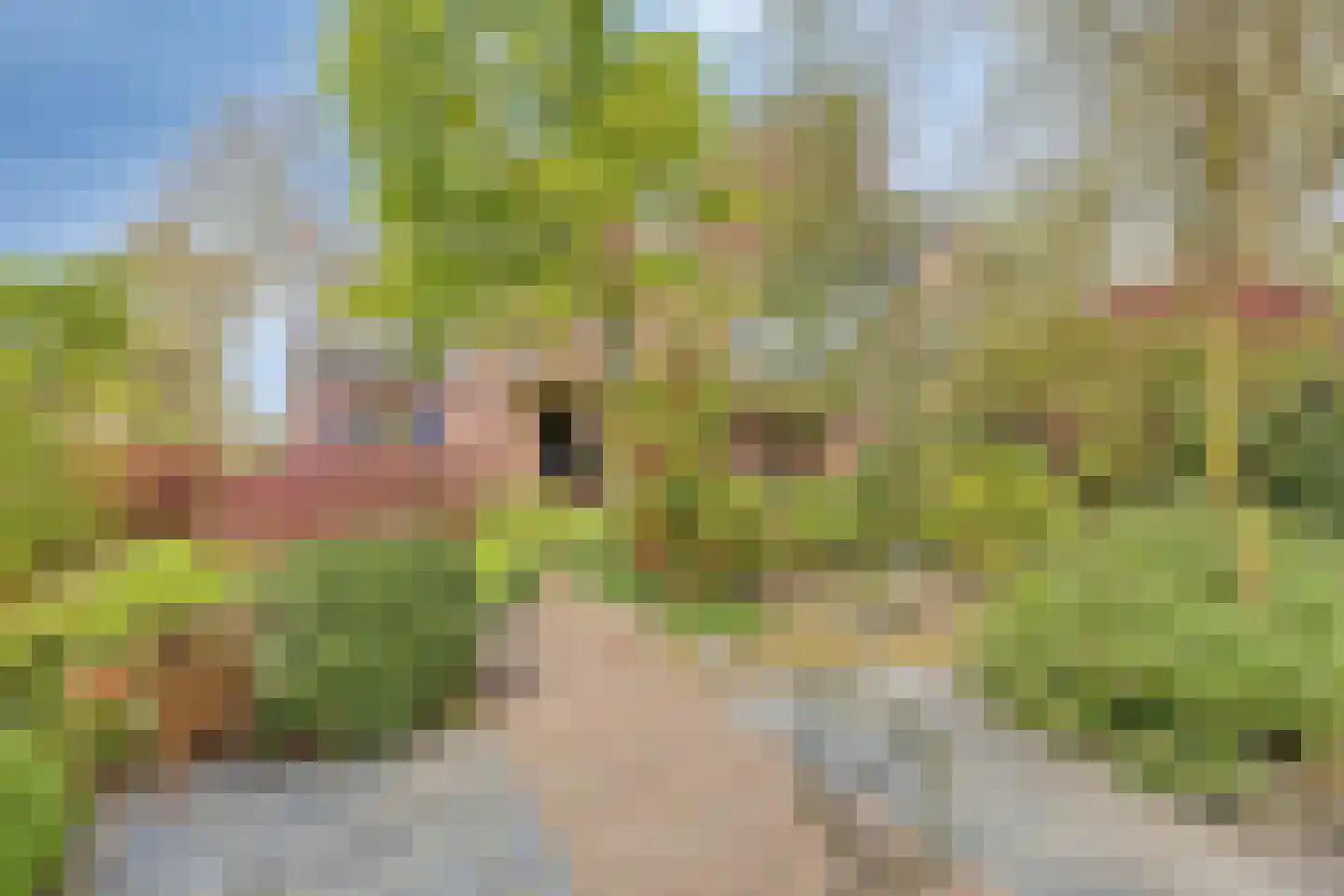 Mielweg 46 Lunteren thumbnail 55