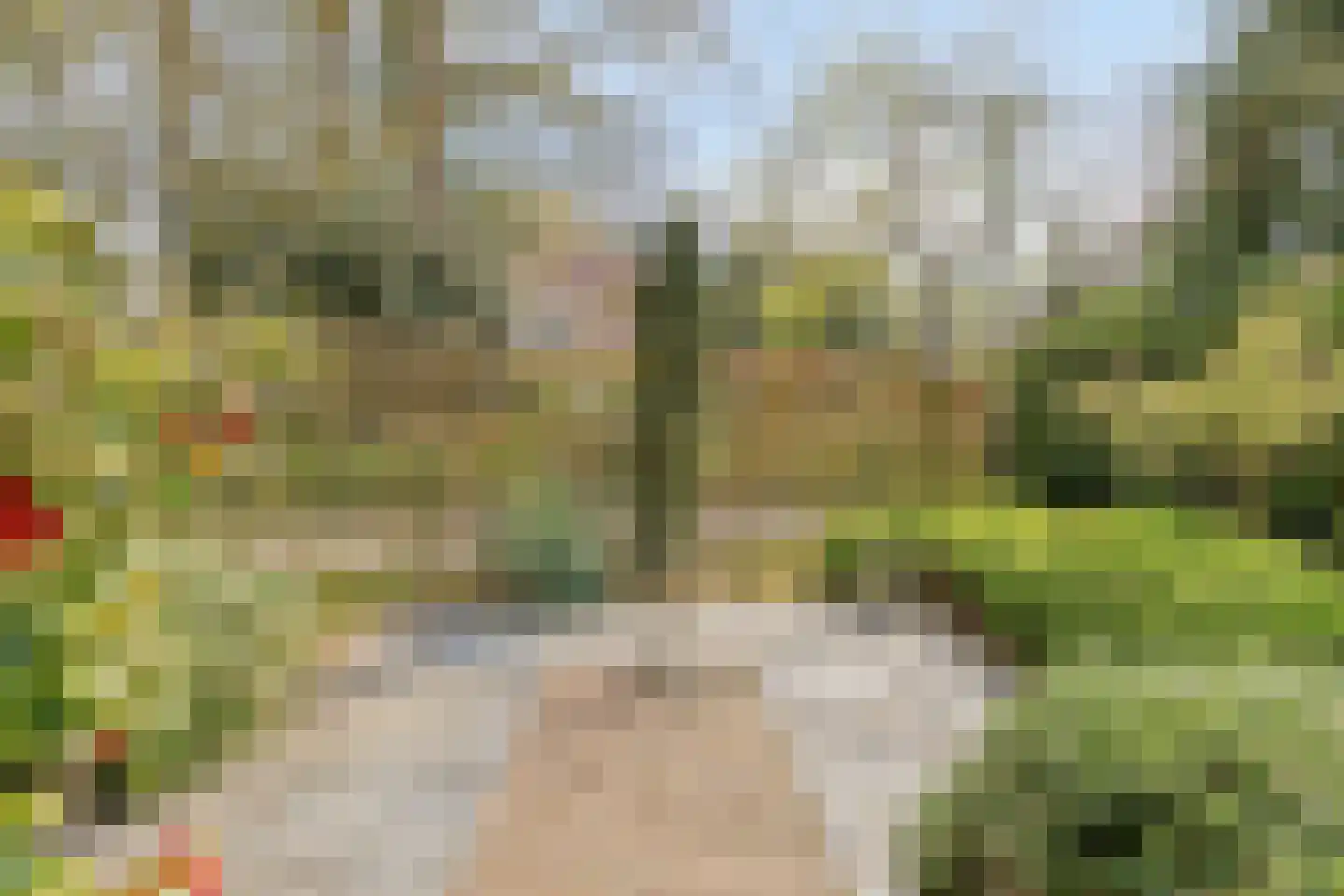 Mielweg 46 Lunteren thumbnail 56